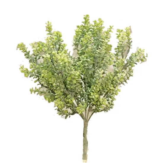 After Rain Bush 14" {1}