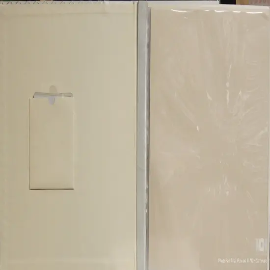 Designer 12 x 12 Luxury Light Cream Satin Fabric Wedding Album {2}