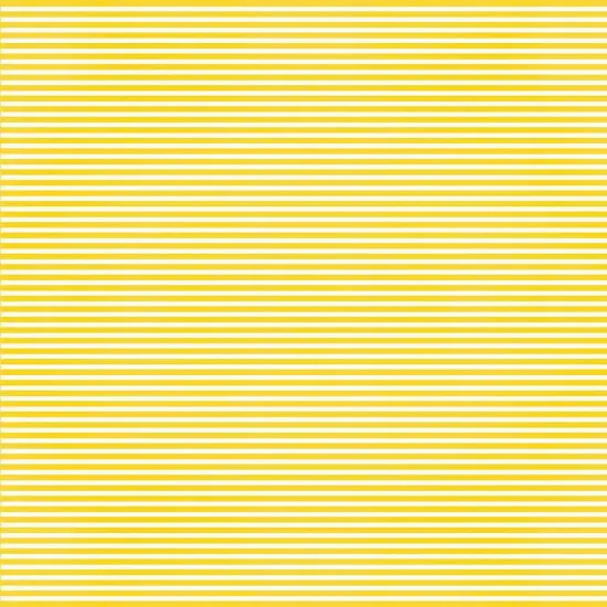 Say Cheese Magic Double-Sided Cardstock 12"X12" {4}