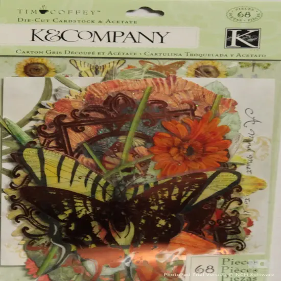 K & Company Tim Coffey Cottage Garden Warm Mix Die-cut Cardstock & Acetate {1}