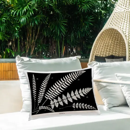 Stupell Industries Fern Studies on Black Outdoor Pillow, 14 x 7 x 20 {2}