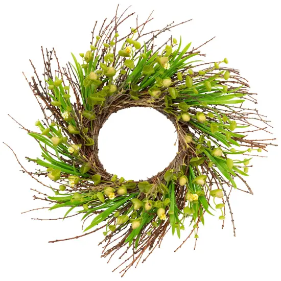 Northlight Budding Flowers, Leaves and Twigs Artificial Floral Wreath - 20" - Yellow Green {3}