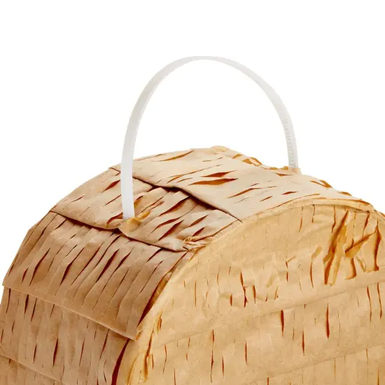 Tequila Pinata for Bachelor Party Decorations, Table Centerpiece, Photo Prop (Small, 16.5 x 13 x 3 In) Silver {7}