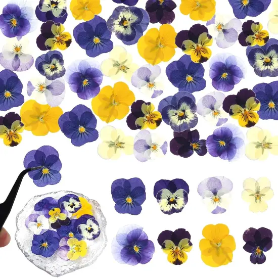 56 Pcs 8 Kinds Dried Pressed Pansies Flowers {1}