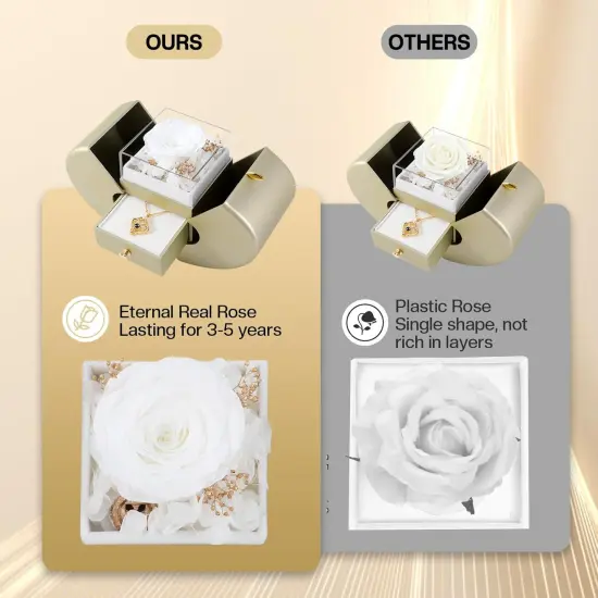 Preserved White Rose Gift Box with I Love You Necklace 100 Languages {3}