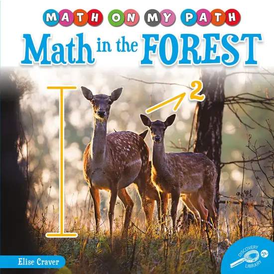 Math in the Forest {1}