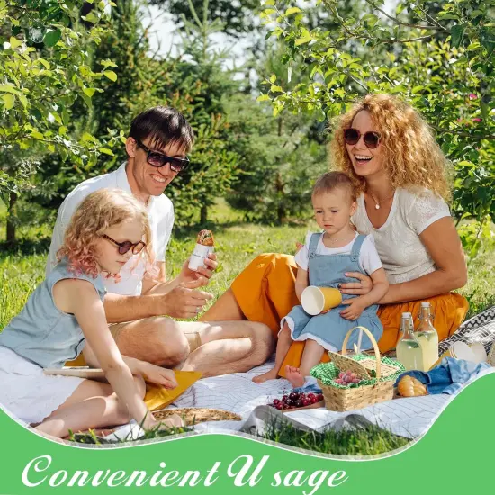 Mini Picnic Basket with Lid and Handle Small Gingham Woven Picnic Hamper (Green and White) {2}