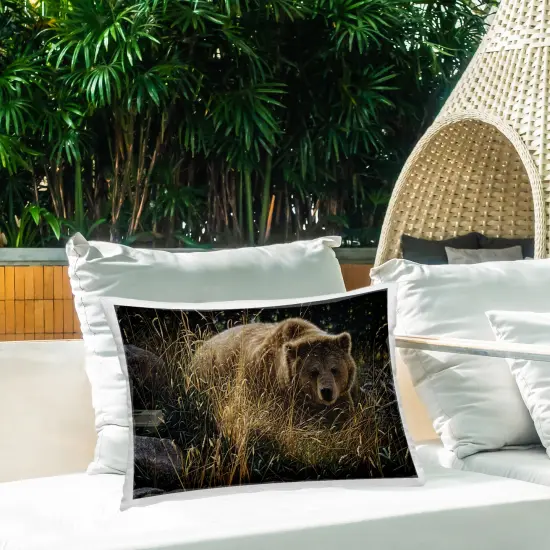 Stupell Industries Crossing Paths Grizzly Bear Outdoor Printed Pillow design by Collin Bogle, 14 x 7 x 20 {2}