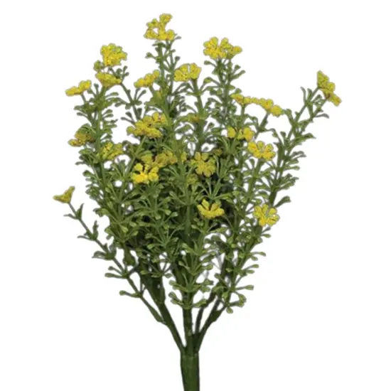 Astilbe Bush With Leafy Stems Yellow {1}