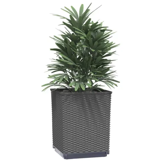 vidaXL Planters 2 pcs Black 11.8"x11.8"x14.6" Polypropylene {3}