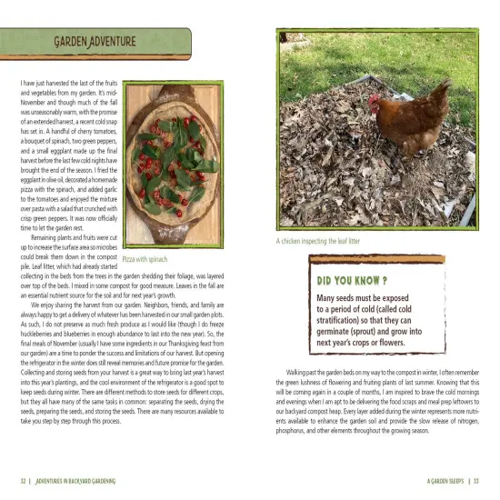 Adventures in Backyard Gardening: Inspiring Young Gardeners to Grow Their Own Food {2}