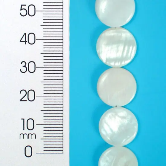 6 Packs of Tinted Shell Round Natural 2x8" Strand {1}