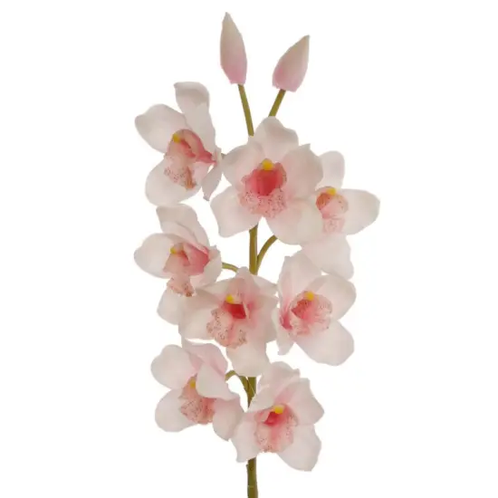 30" Cymbidium Orchid Stem - 3 PACK {5}