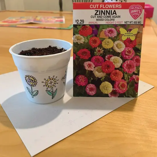 Zinnia Flower Gardens (Pack of 48) {5}