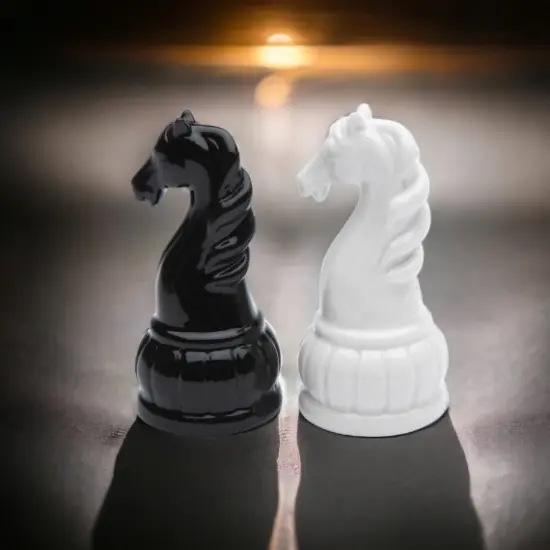 Ceramic Black and White Knight Chess Piece Salt and Pepper Shakers, Home D&eacute;cor, Gift for Him, Gift for Dad, Kitchen D&eacute;cor, Game Room Decor {2}