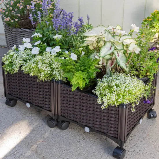 Mobile 2-Piece Garden Planter Box on Wheels for Easy Outdoor Indoor Setup {1}