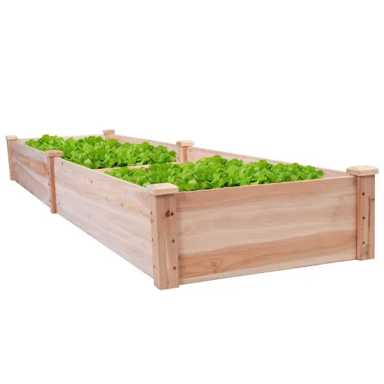 Natural Cedar Wood 8ft Raised Garden Bed with Divider for Planting {2}