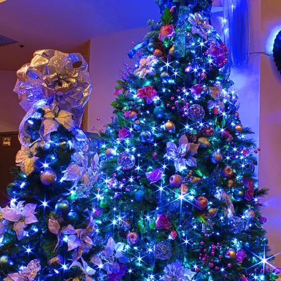 Blue Christmas Lights, 2 Pack Total 40 FT {4}