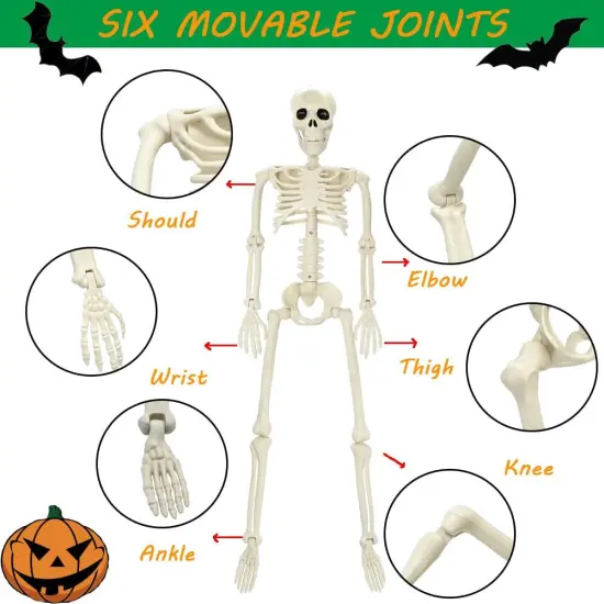 3FT Full Body Posable Halloween Skeleton - Halloween Decorations {2}