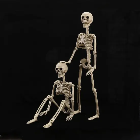 2 Pack 40 Inches Halloween Skeleton Decoration {2}