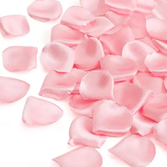 300pcs Silk Rose Petals Blush Pink Heart Flower Petals for Wedding Flower Girl Basket {1}