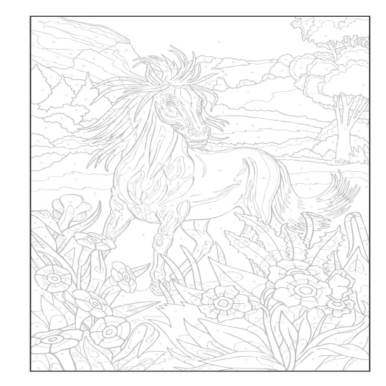 Creative Haven: Horses Coloring Book-Softcover {6}