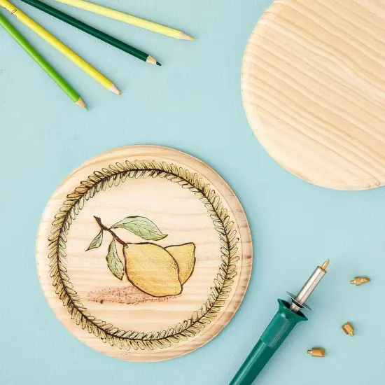 Unfinished Wood Round Plaques for DIY Crafts (2 Pack), 8 Inches {2}