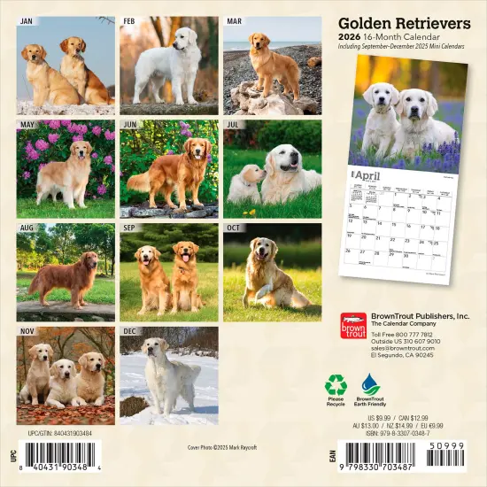 Golden Retrievers | 2026 7 x 14 Inch (Hanging) Monthly Mini Wall Calendar {2}