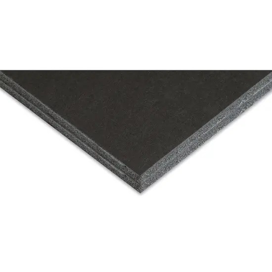 Blackcore Foam Board Pack - 18" x 24" x 3/16", Black, Pkg of 2 {2}