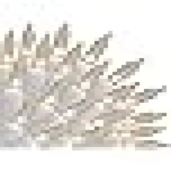 Incandescent Mini String Light {1}