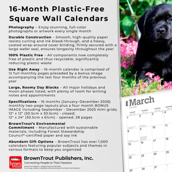 Black Labrador Retriever Puppies | 2026 12 x 24 Inch (Hanging) Monthly Square Wall Calendar | Plastic-Free {6}
