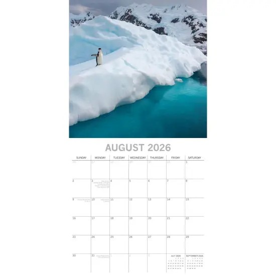 The Gifted Stationary 2026 Square Wall Calendar, Antarctica, 16-Month Natural World Theme Hanging Calendar with 180 Reminder Stickers, Month Planner for Home or Creative Spaces, 12x12 In Multicolor {3}