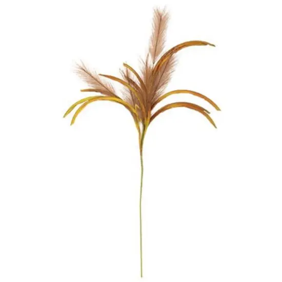 Pampas Spray 31" Natural {2}