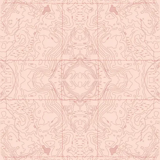 Topographic Map Gift Wrap XVIII {2}