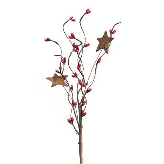 Mix Pip Berries & Star Pick Bright Red {1}