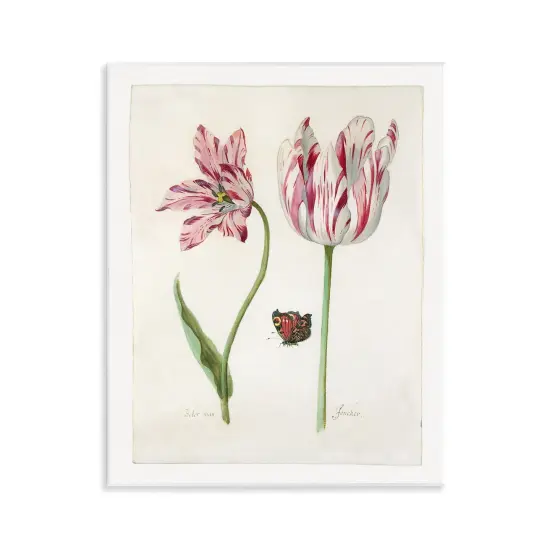 Stupell Industries Classic Tulip & Butterfly Wall Plaque Art Design by Jacob Marrel {1}