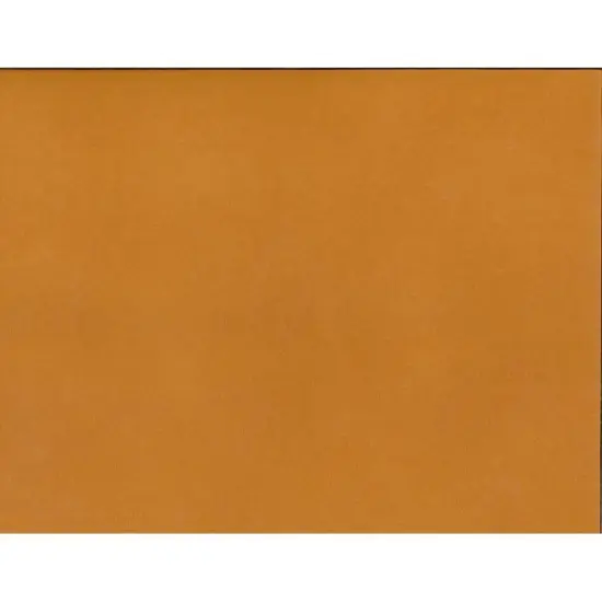 Silhouette Adhesive Cardstock Burnt Orange {1}