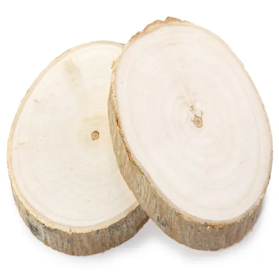 CousinDIY Rustic Wood Rounds 2/Pkg-Natural 4-5" {3}