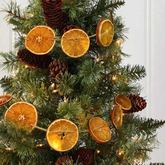 10 Ft Dried Orange Slice Fall Christmas Garland,Fall Decor - Christmas Decorations {6}