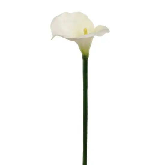 21" Real Touch Calla Lily Stem - 6 PACK {1}