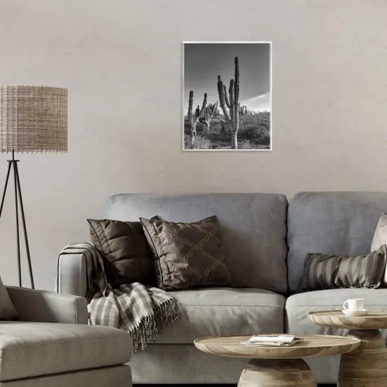 Stupell Industries Cactus Field & Vast Sky Wall Plaque, design by Norm Stelfox {2}