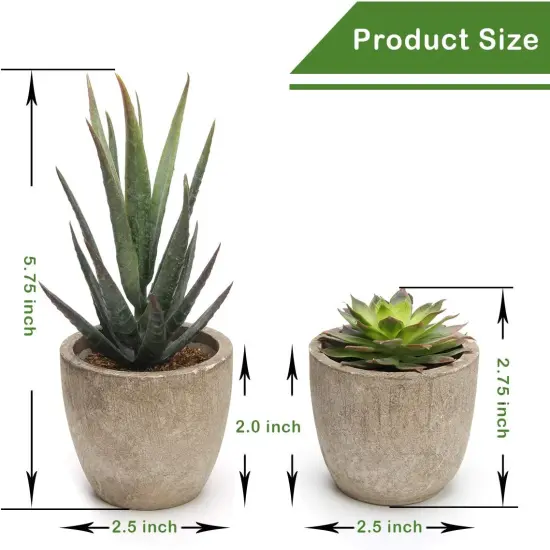 Artificial Succulent Plants Potted, Assorted Decorative Faux Succulent Potted Fake Cactus Cacti Plants with Pots, Set of 5 {2}
