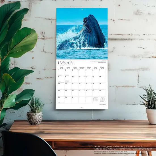 California Nature | 2026 12 x 24 Inch (Hanging) Monthly Square Wall Calendar | Plastic-Free {5}