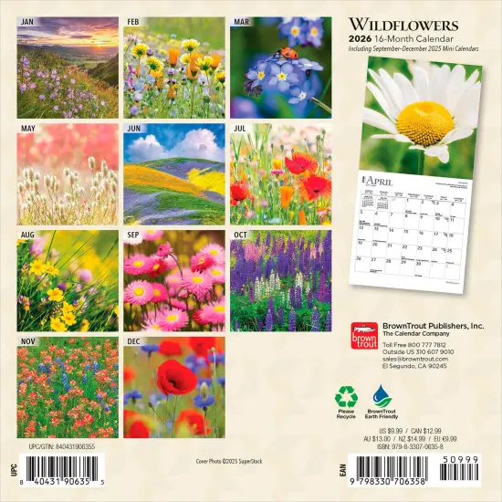 Wildflowers | 2026 7 x 14 Inch (Hanging) Monthly Mini Wall Calendar {2}