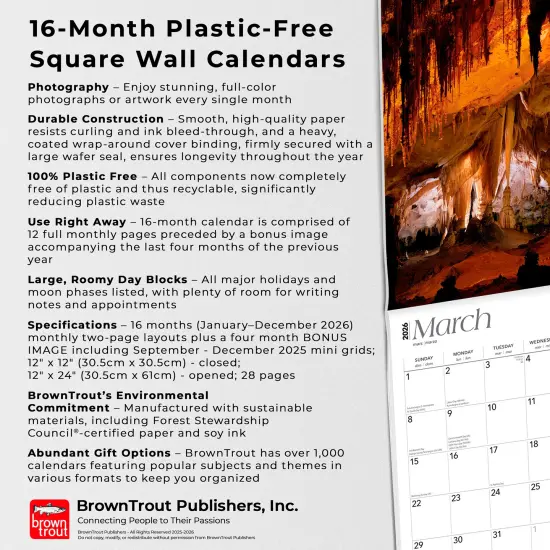 New Mexico Wild & Scenic | 2026 12 x 24 Inch (Hanging) Monthly Square Wall Calendar | Plastic-Free {6}