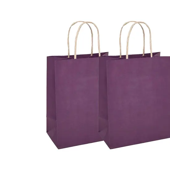 Durable Kraft Paper Tinted Bag 8" x 5" x 10.25" {4}