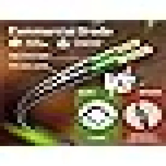 Brightown Outdoor String Lights {6}