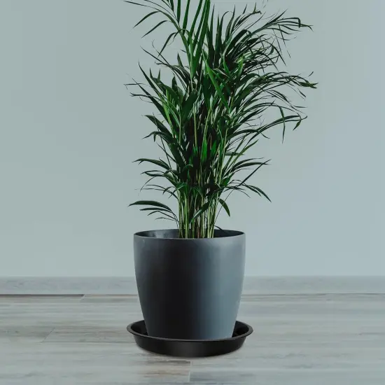 4 Pack Heavy Duty Large Plant {4}