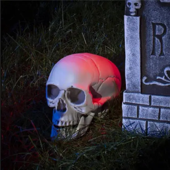 Life Size Skeleton Skull Model Human Skull Replica Model {4}