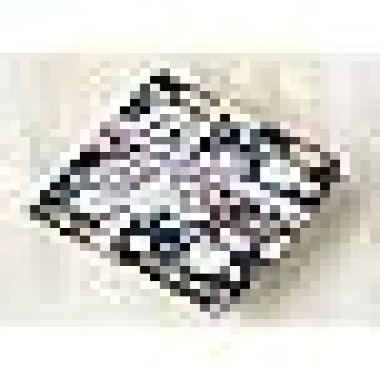 Wildflower Fat Quarters Vintage Flower Quilting Patchwork {4}